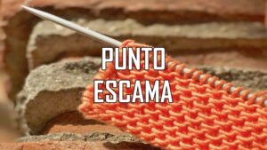 Punto Escama de Pezcado